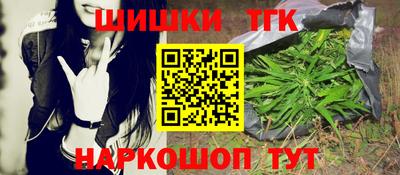 тгк Будённовск